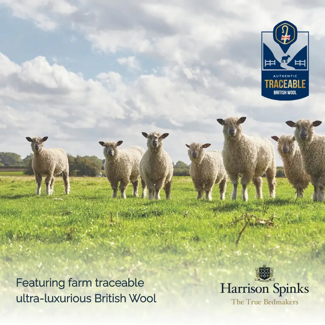 Harrison Spinks Premium British Wool Pillow - Image 3
